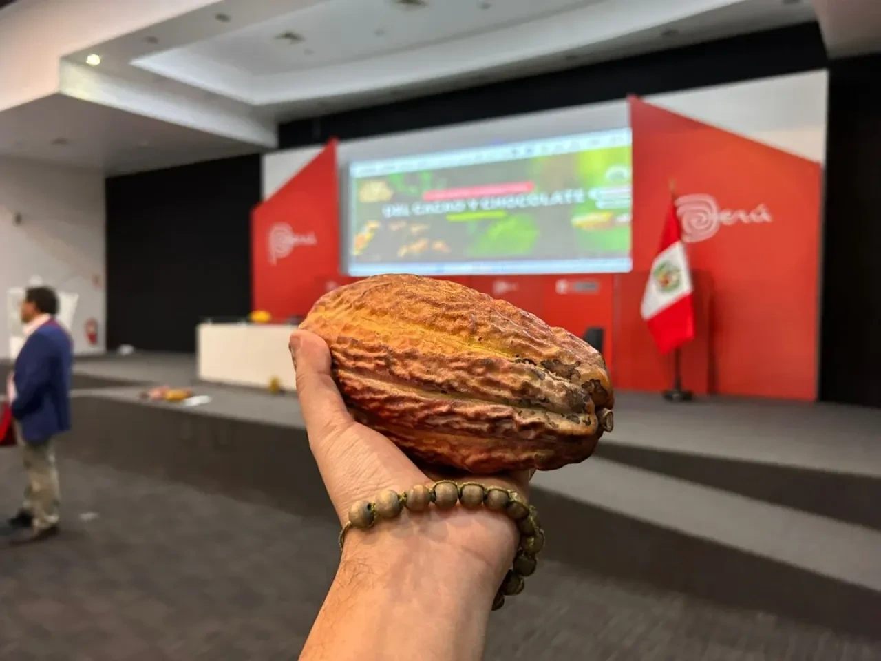 “El precio actual del cacao compensa los costos de inversión”