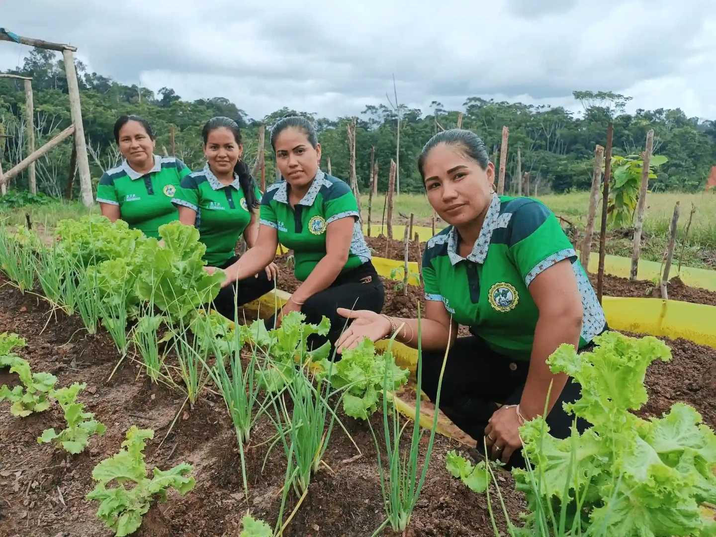 Loreto: Postula a una beca de formación técnica si perteneces a una comunidad nativa