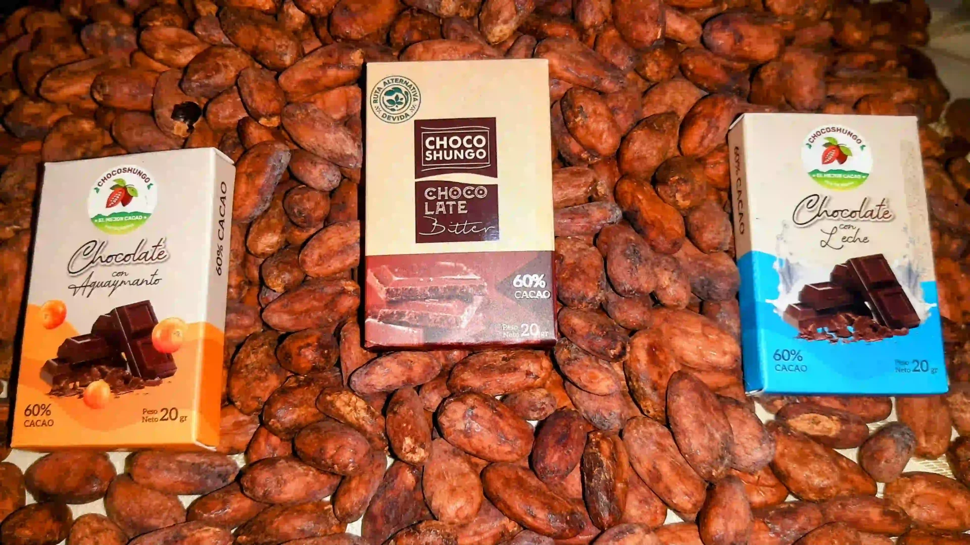 Leoncio-Prado--Cooperativa-Inka-Cuchara-cultiva-excelencia-con-su-cacao-fino-de-aroma-II.webp