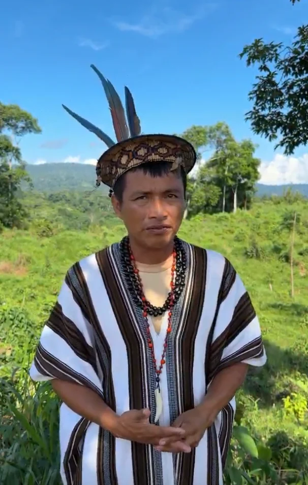 Cacao nativo de la Reserva Comunal Yanesha sigue destacando por su producción sostenible