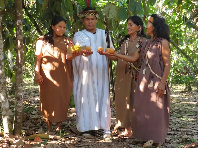 I-Pueblos-indigenas-al-frente-de-la-preservacion-del-cacao-nativo-peruano.webp