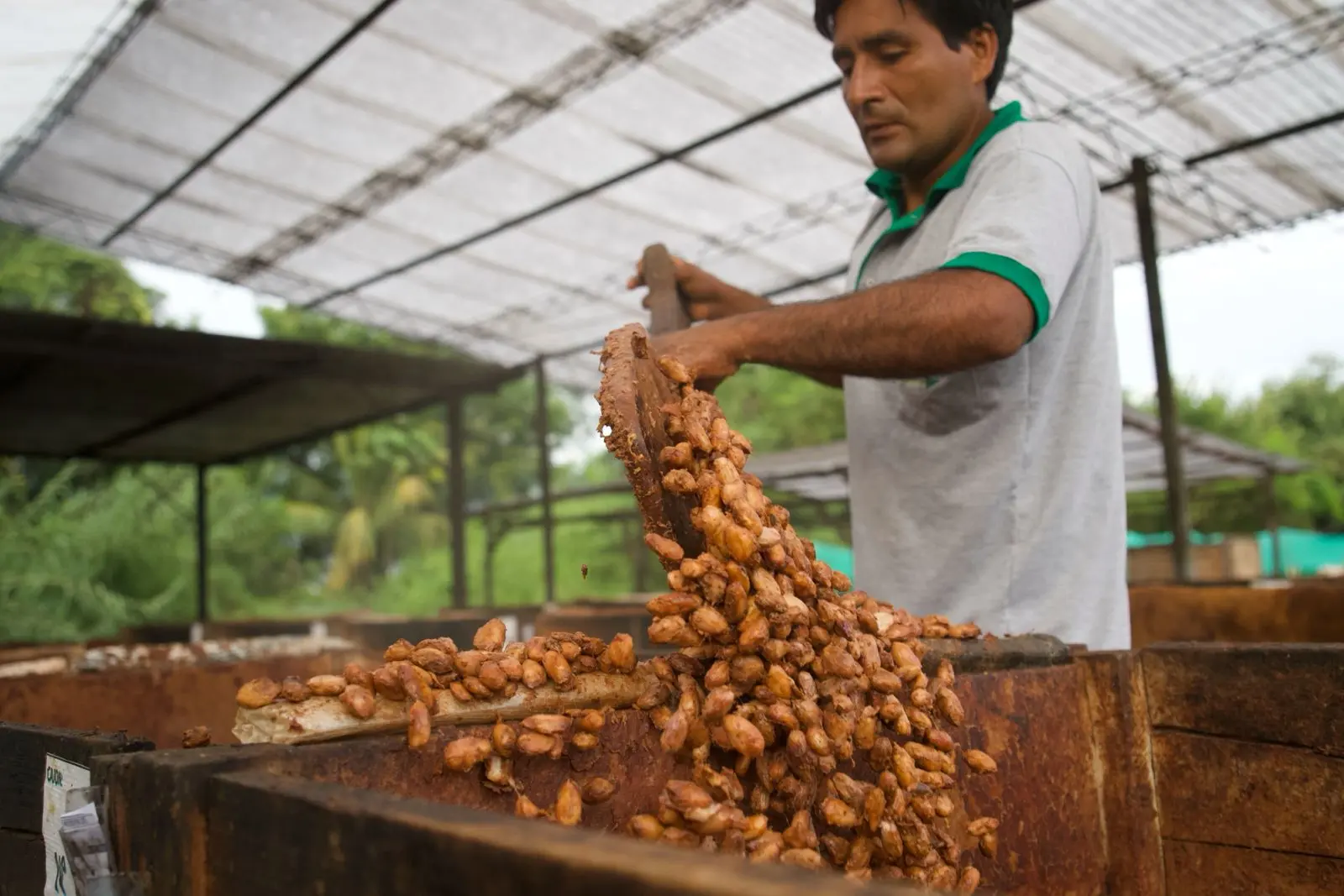 Salón del Cacao y Chocolate albergará foro latinoamericano