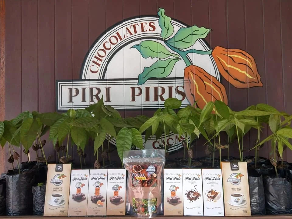 Reconocen a productor de Irazola tras premios en el Salón del Cacao y Chocolate 2024