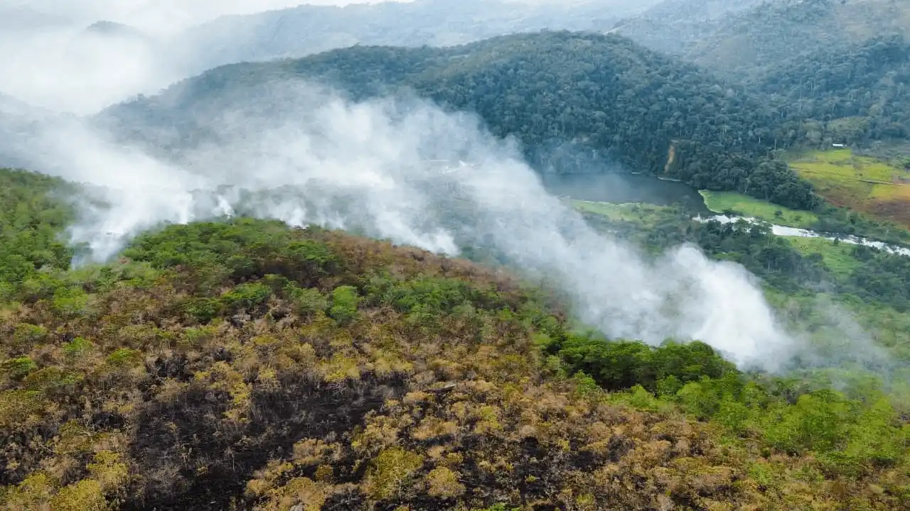 Cuatro días de incendio en Cerro Aucapata destruyen más de ocho hectáreas de bosque