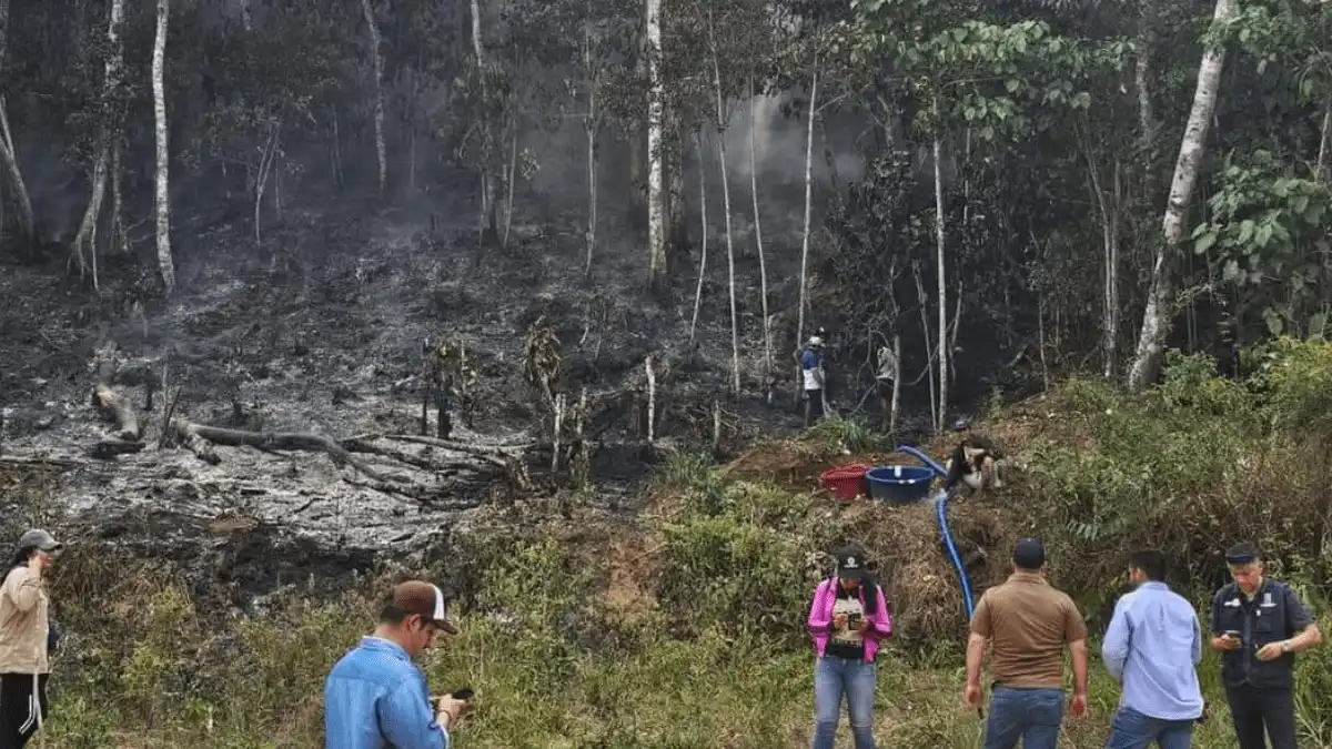 Cuatro días de incendio en Cerro Aucapata destruyen más de ocho hectáreas de bosque