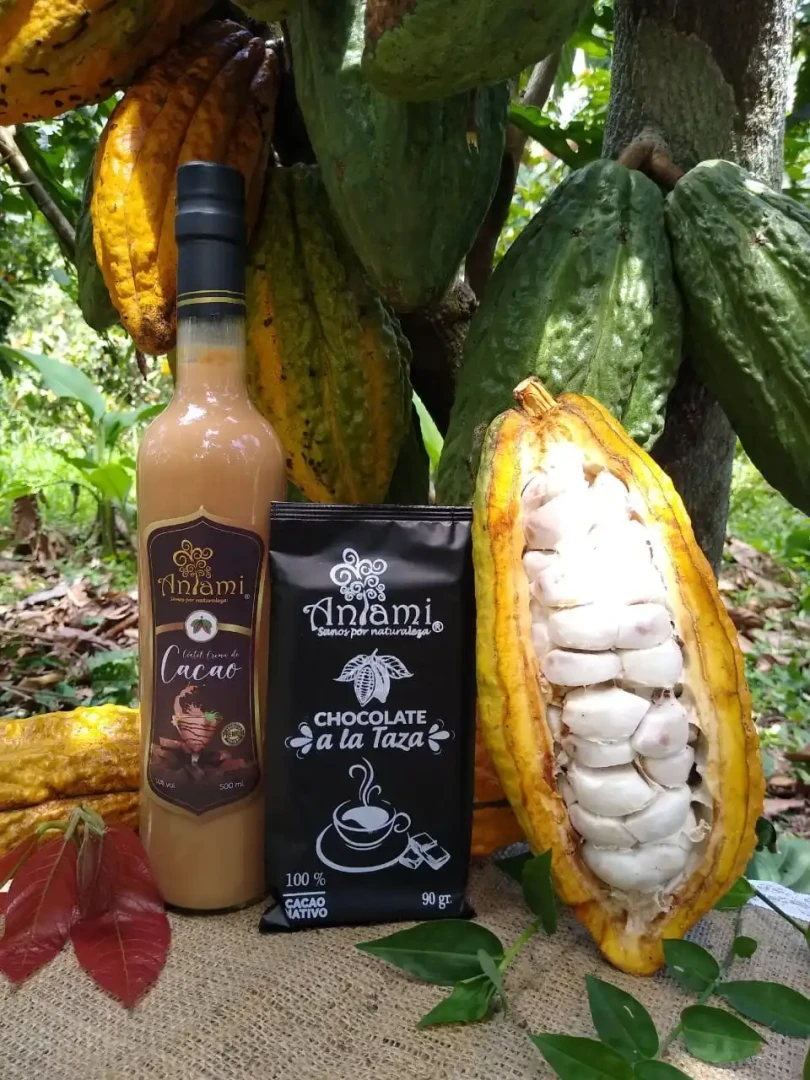 XI-ANTAMI--El-chocolate-que-preserva-la-Reserva-de-Biosfera-Avireri-Vraem9fafe497e0cffeb7.webp