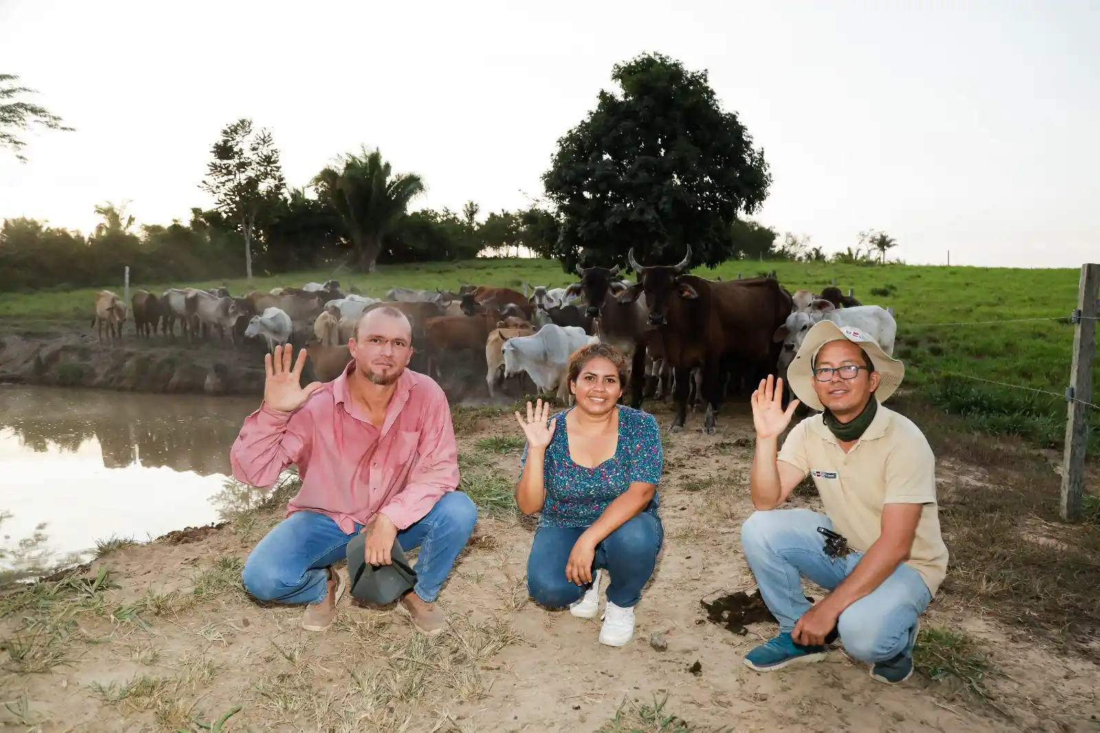 Ganaderos de Ucayali impulsan su desarrollo económico gracias al mejoramiento genético