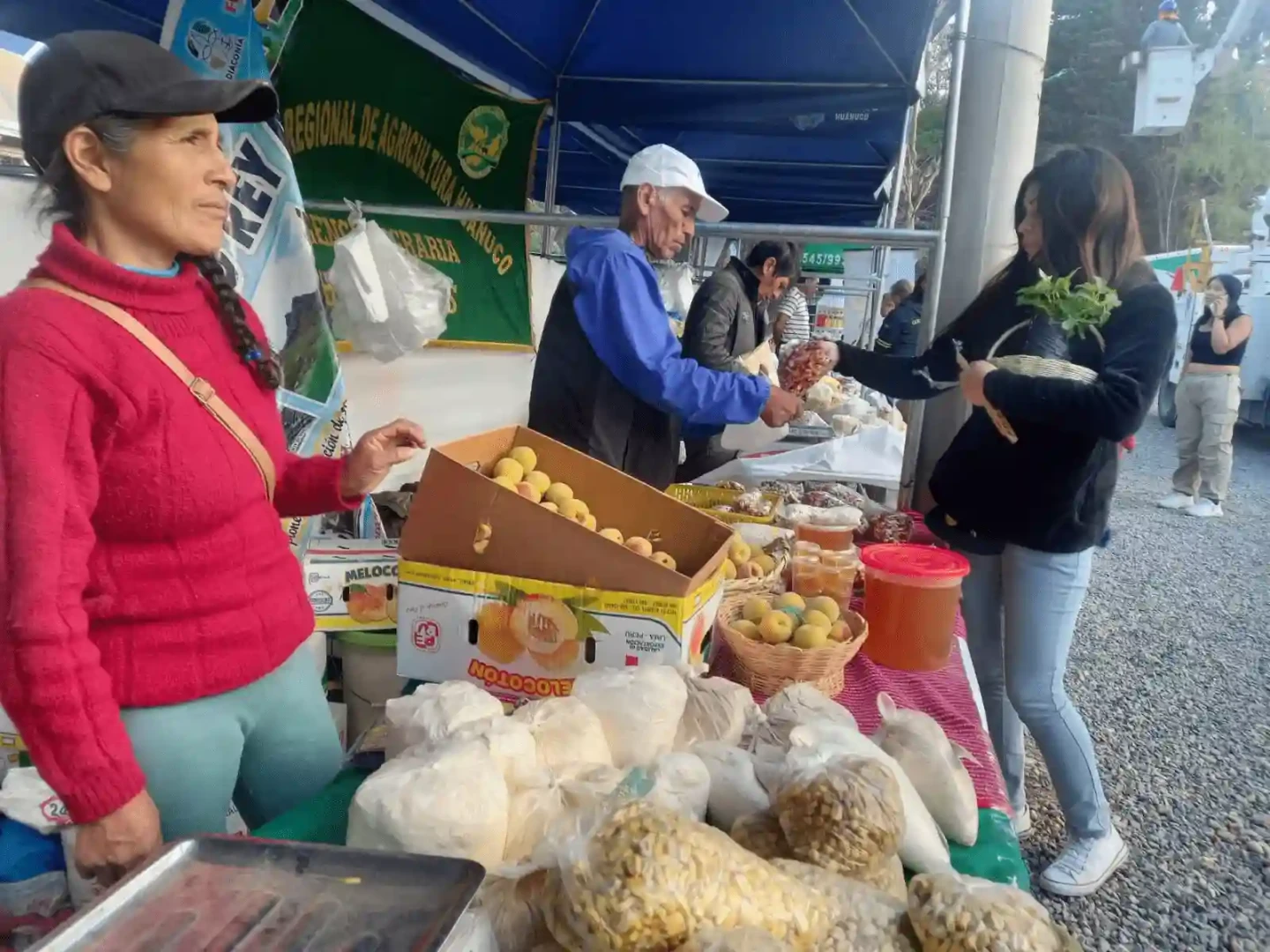 Productores de Huamalíes destacan en la Faica 2024