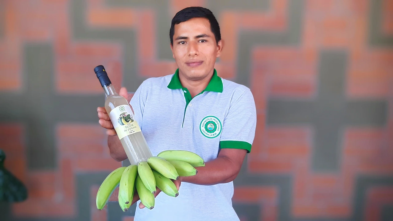Presentan innovador licor de plátano isla y baby banano