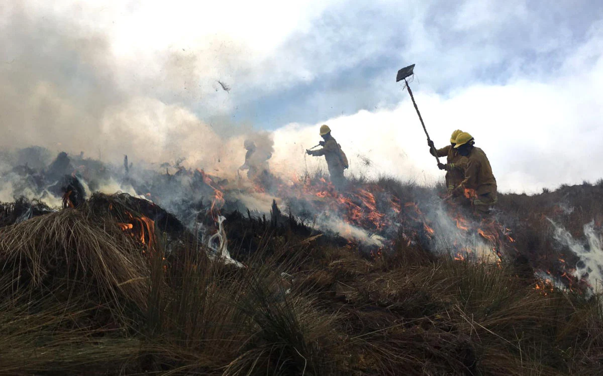 III-PERU-EN-LLAMAS--El-creciente-desafio-de-los-incendios-forestales-II.webp