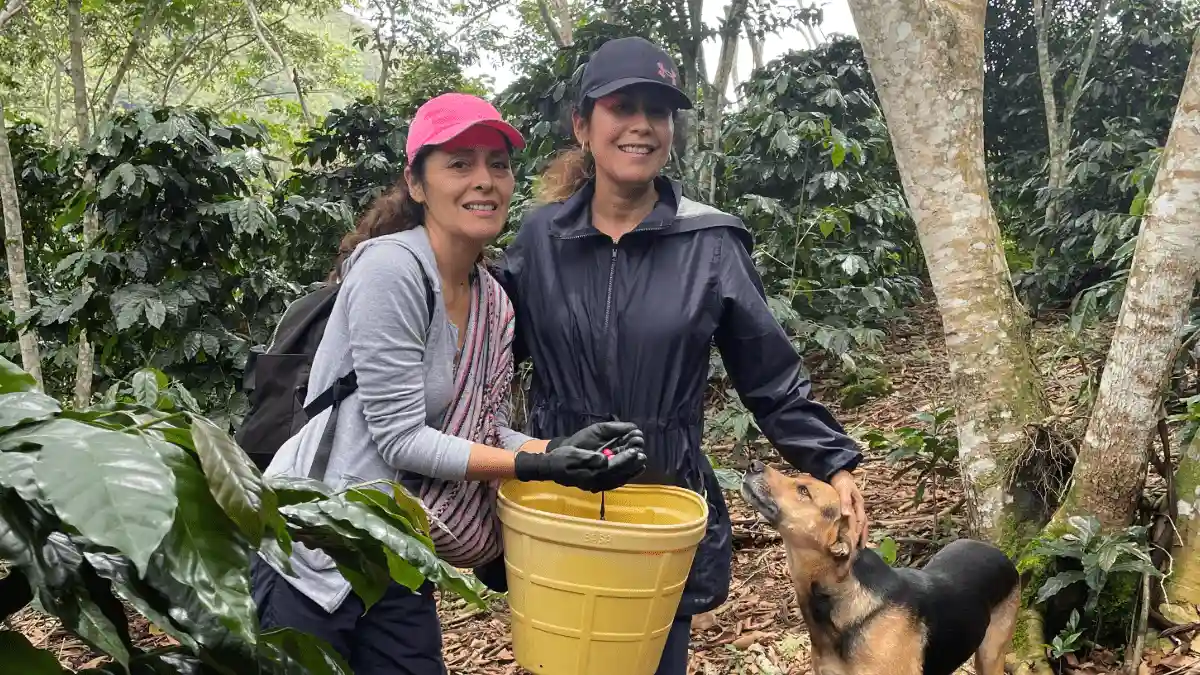 Finca Grandez: Una generación de mujeres que saca adelante el café de Amazonas