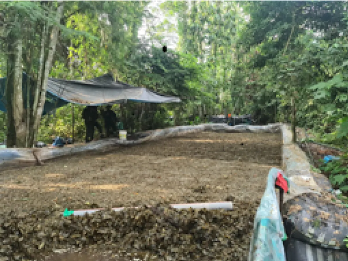 Sinchis de Mazamari desmantelan dos laboratorios clandestinos de drogas en Pasco