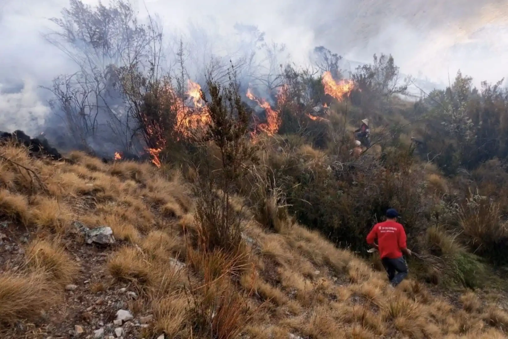 Expertos-exponen-avances-y-retos-en-la-lucha-contra-incendios-forestales-I.webp