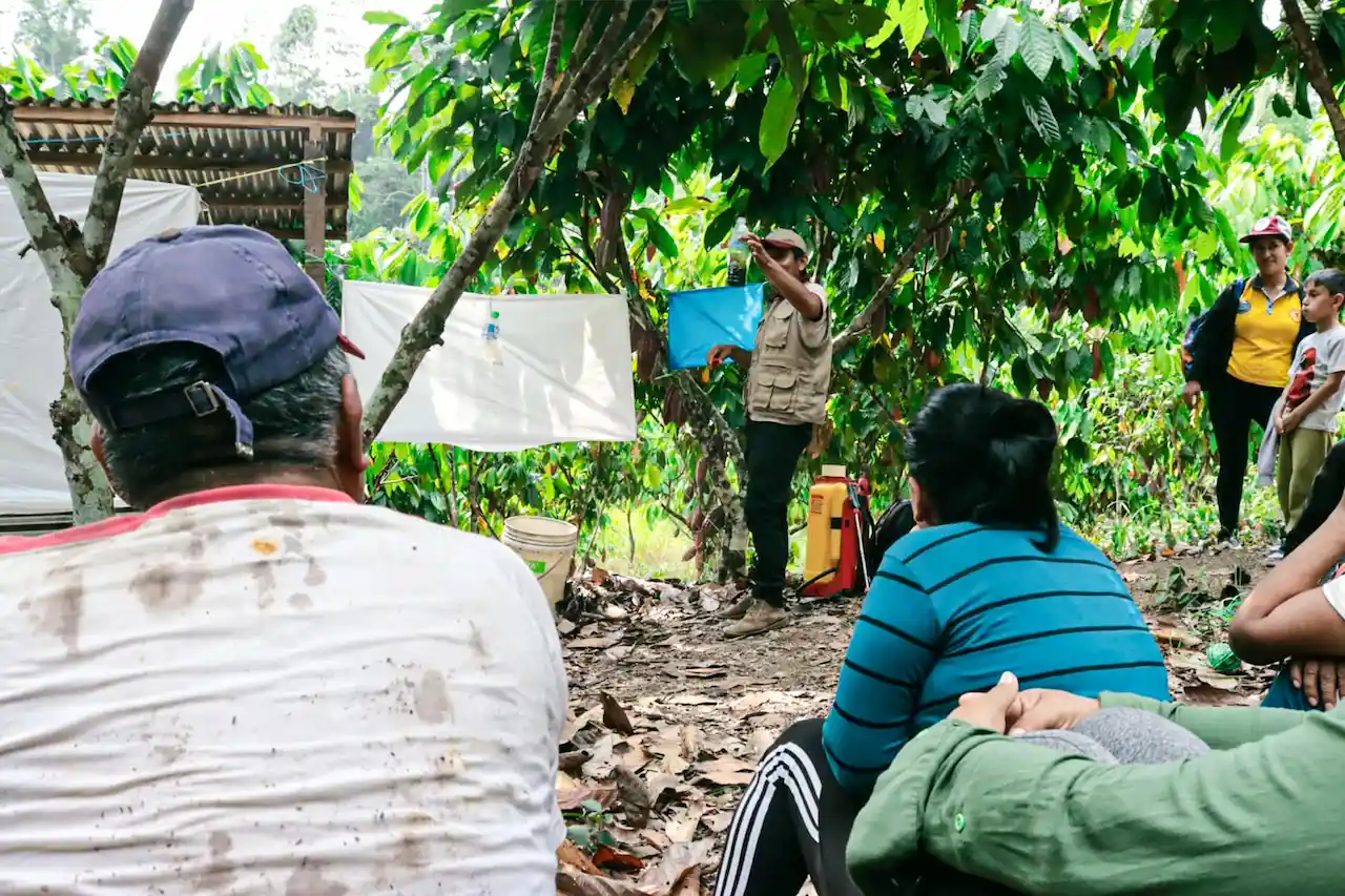 Ucayali: Iniciativa capacita a 40 familias en técnicas de manejo integrado de plagas