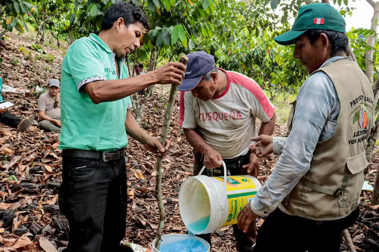 Ucayali: Iniciativa capacita a 40 familias en técnicas de manejo integrado de plagas