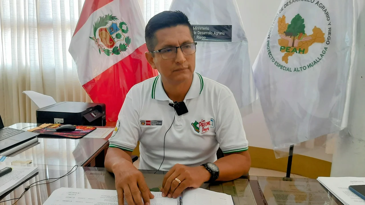 Proyecto Especial Alto Huallaga viene recuperando 3500 hectáreas de suelos degradados en San Martín