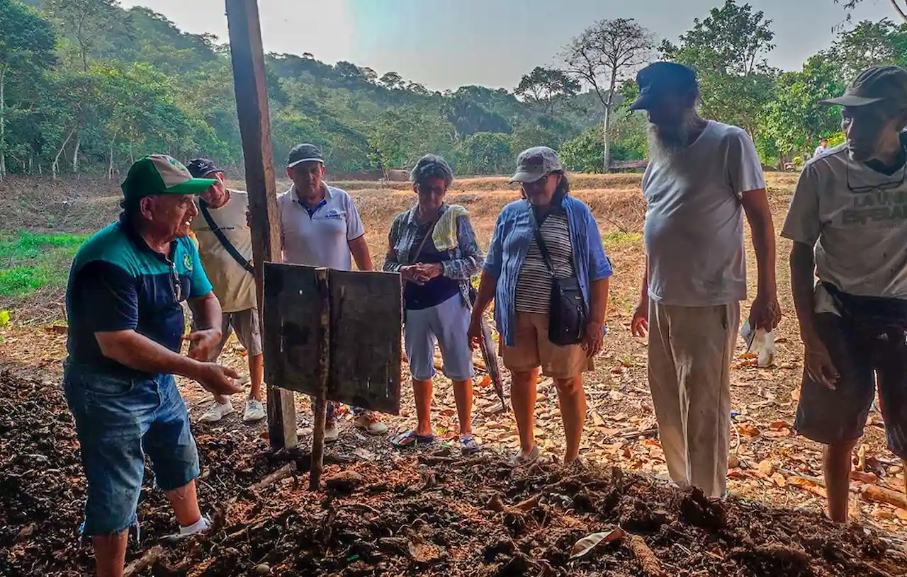 Taller de biohuertos orgánicos en Aguaytía atrae a más de 30 adultos mayores