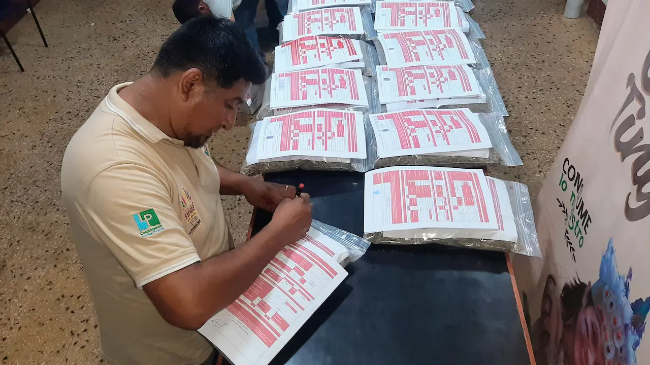 Café de Huánuco avanza en la Taza de Excelencia 2024 con 28 muestras seleccionadas