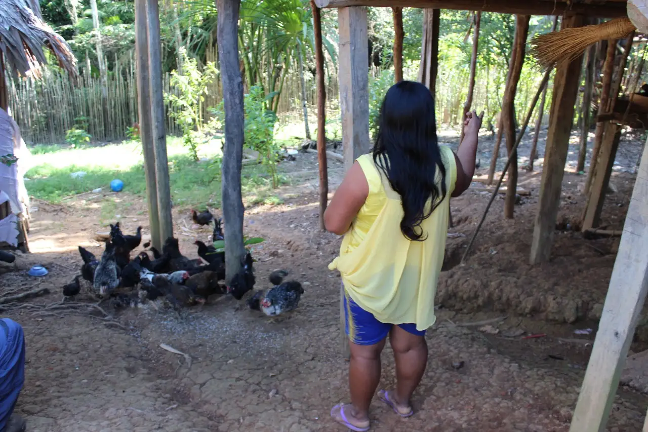 Mujeres yagua refuerzan su economía con avicultura sostenible en Iquitos