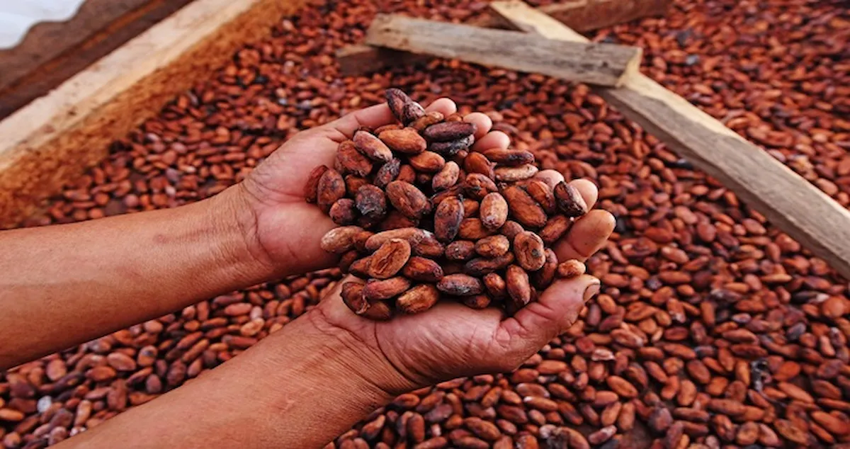 Comunidades nativas pueden postular a fondos para proyectos sostenibles