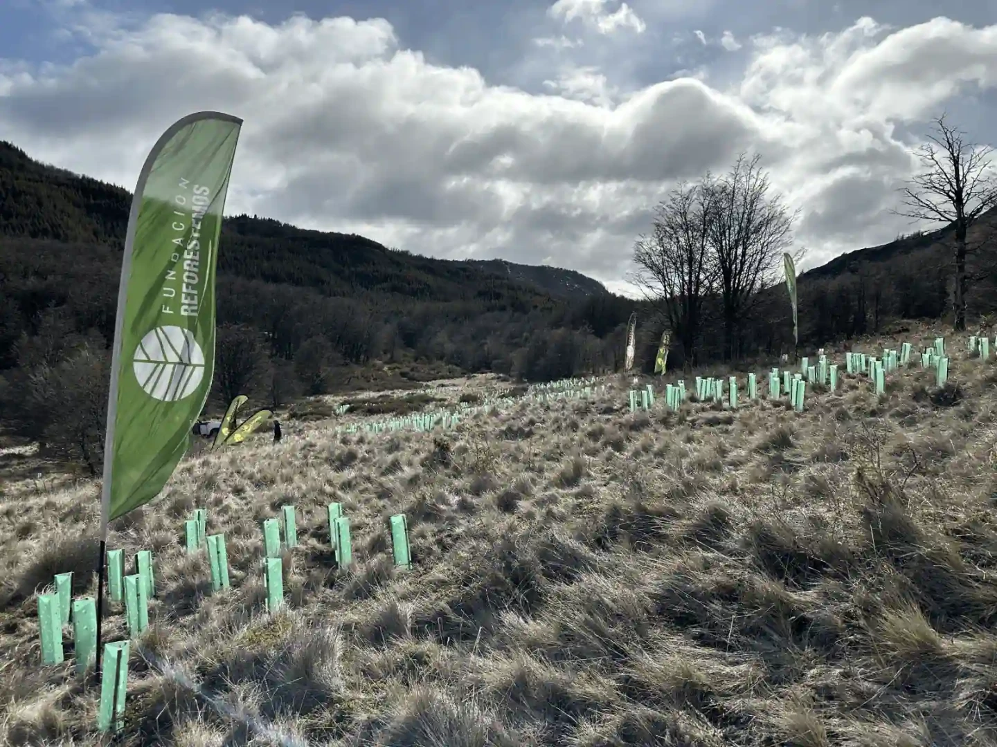 Finaliza inédito ciclo de voluntariados por los bosques nativos en la patagonia
