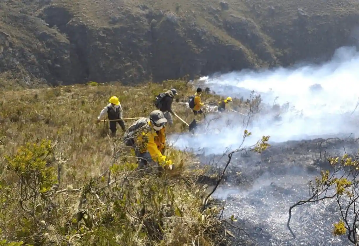 Incendios forestales en Perú: Crisis ambiental afecta a más de 20 regiones