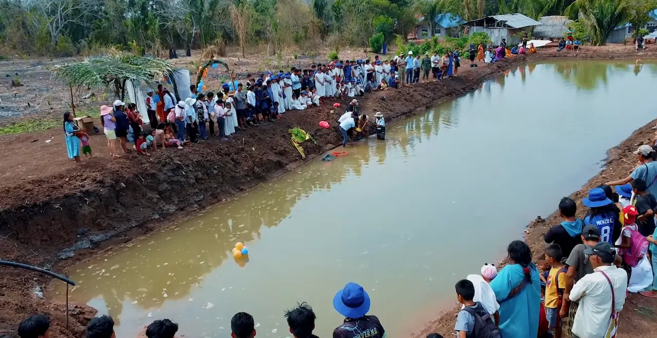 Mazamari: Instalan módulos de crianza de peces para combatir anemia infantil