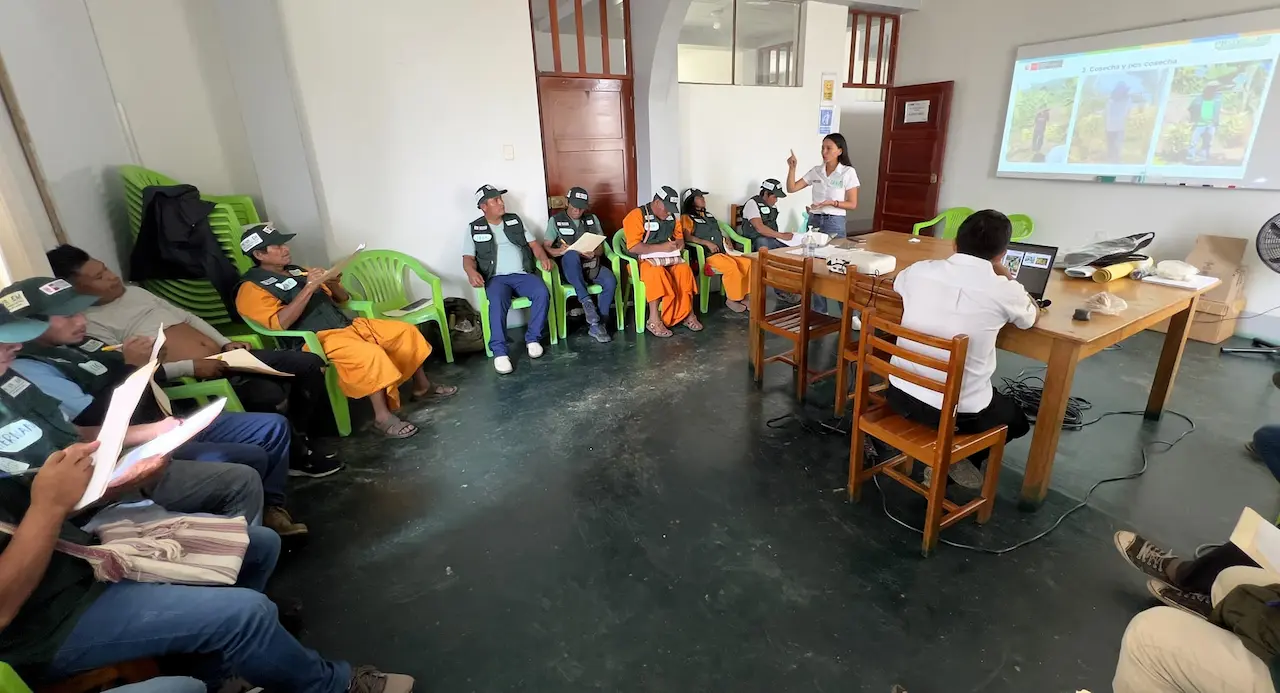 De la chacra al mercado: Agricultores nativos se reinventan con proyecto platanero