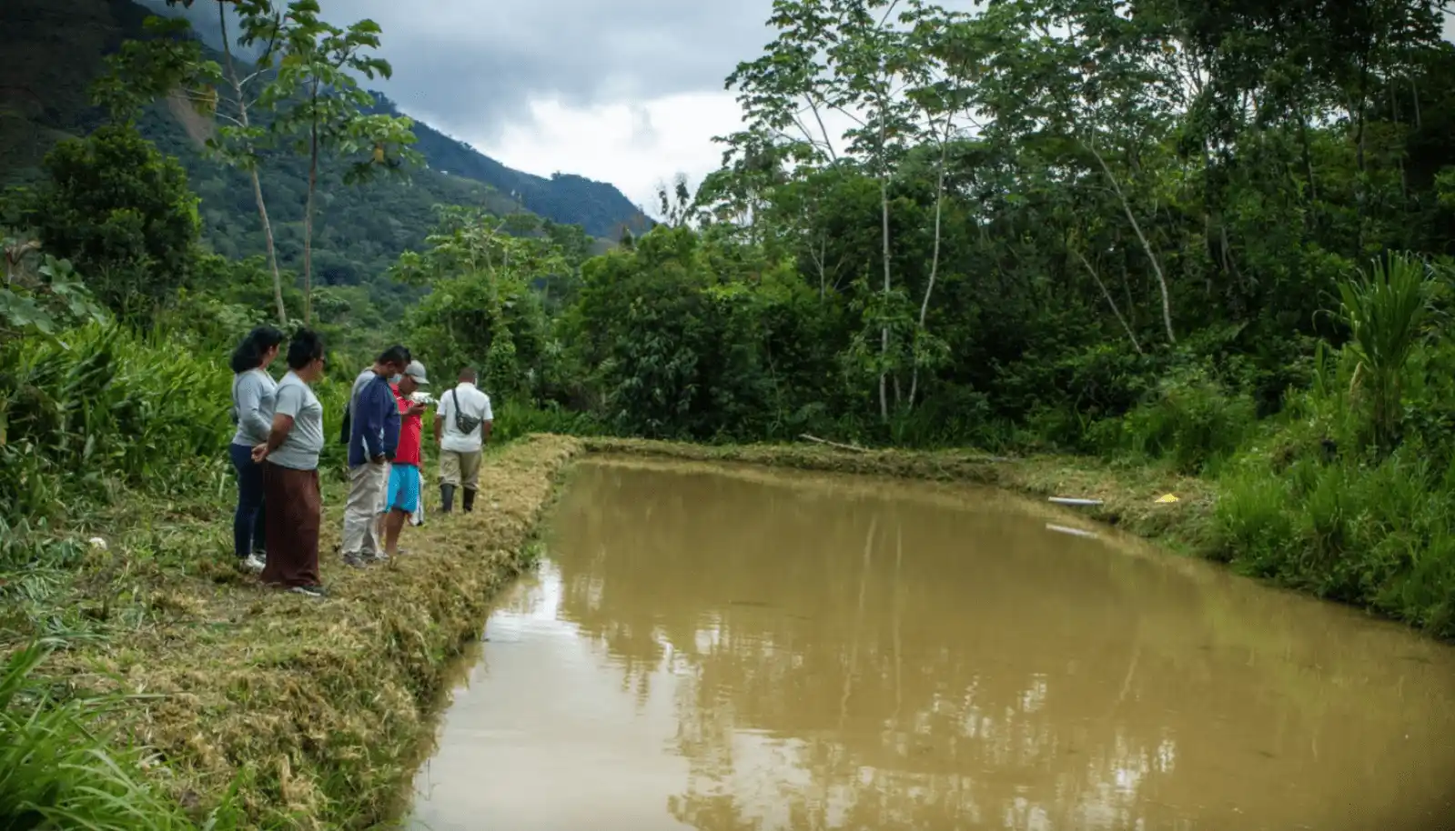 Huánuco apuesta por la acuicultura con innovador proyecto de peces tropicales