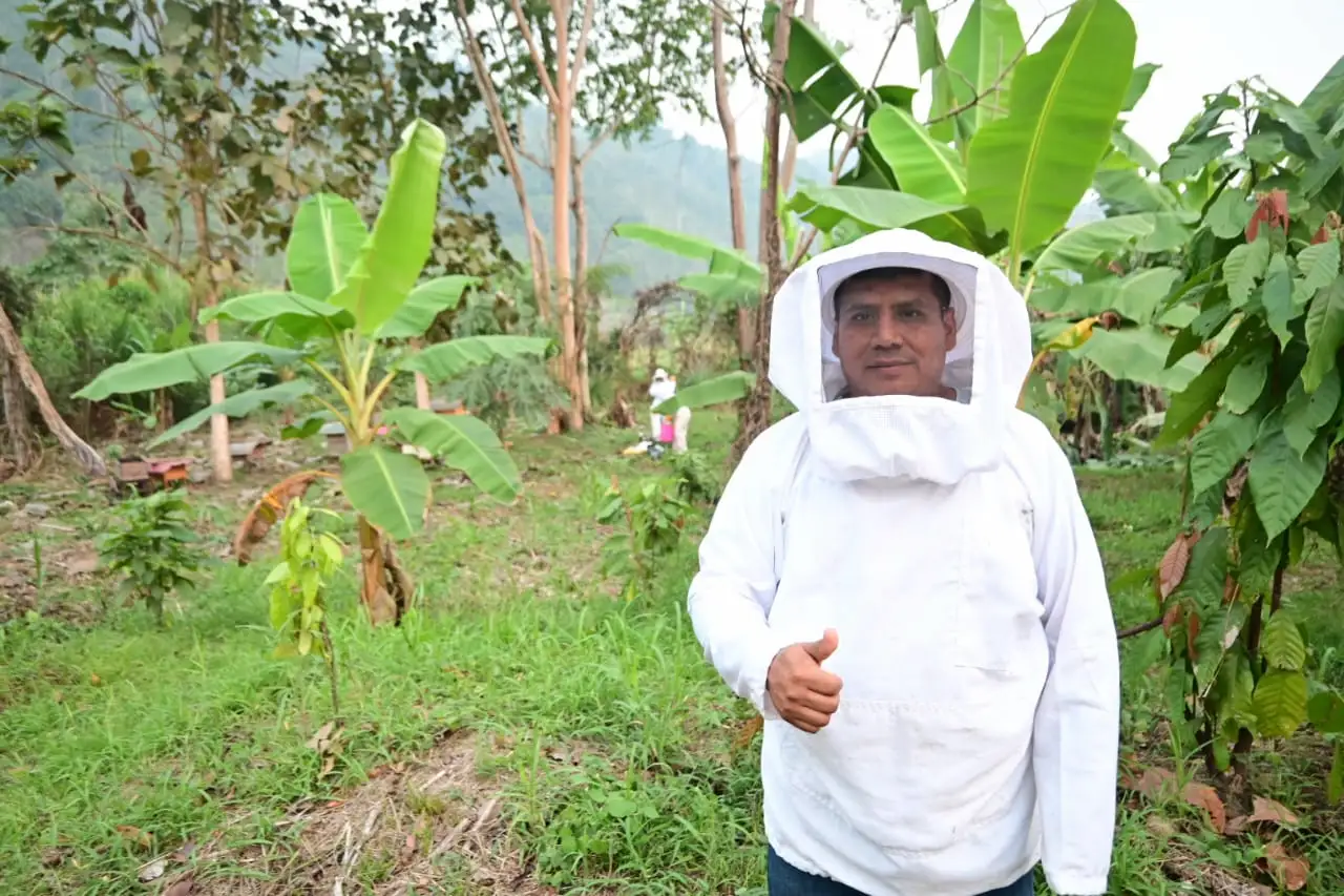 Implementan un sistema de extracción de miel sin abrir los panales de abejas