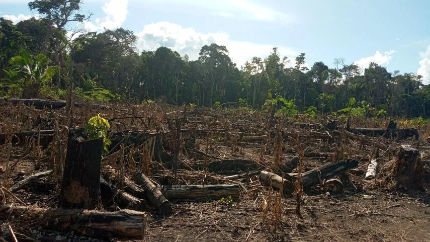 IIDenuncian-penalmente-al-premier-y-ministros-por-facilitar-deforestacion-e-incendios-forestales-I.webp