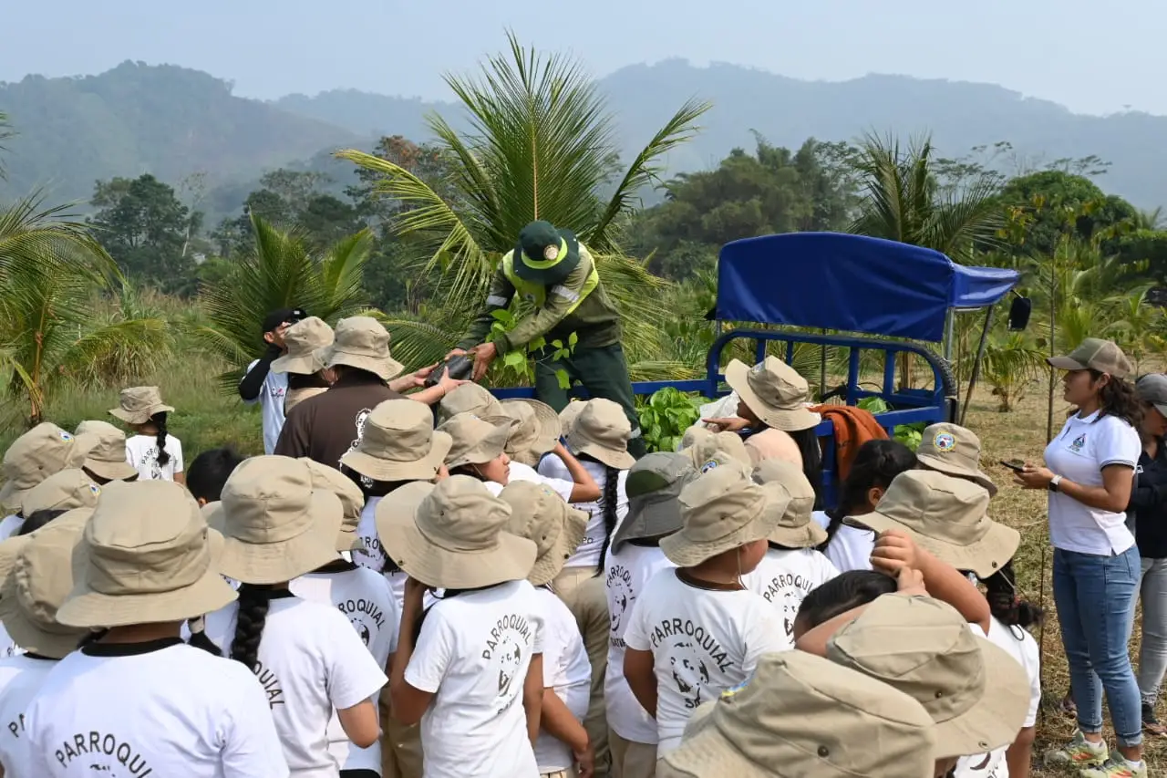 Estudiantes de Satipo plantan 250 árboles en campaña de reforestación