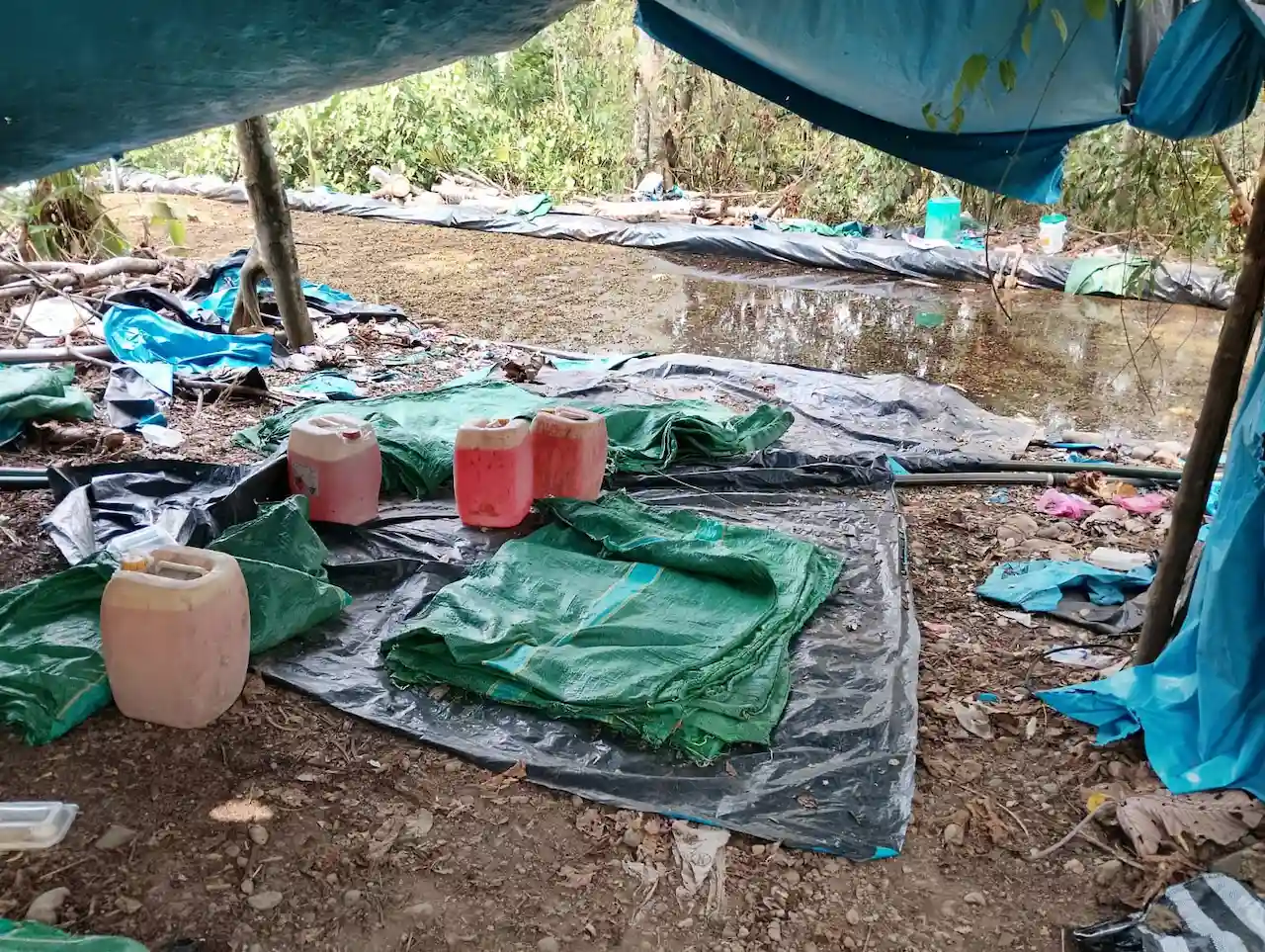 Operativo antidrogas destruye cinco laboratorios y decomisa 50 kg de pasta básica de cocaína en Ayacucho