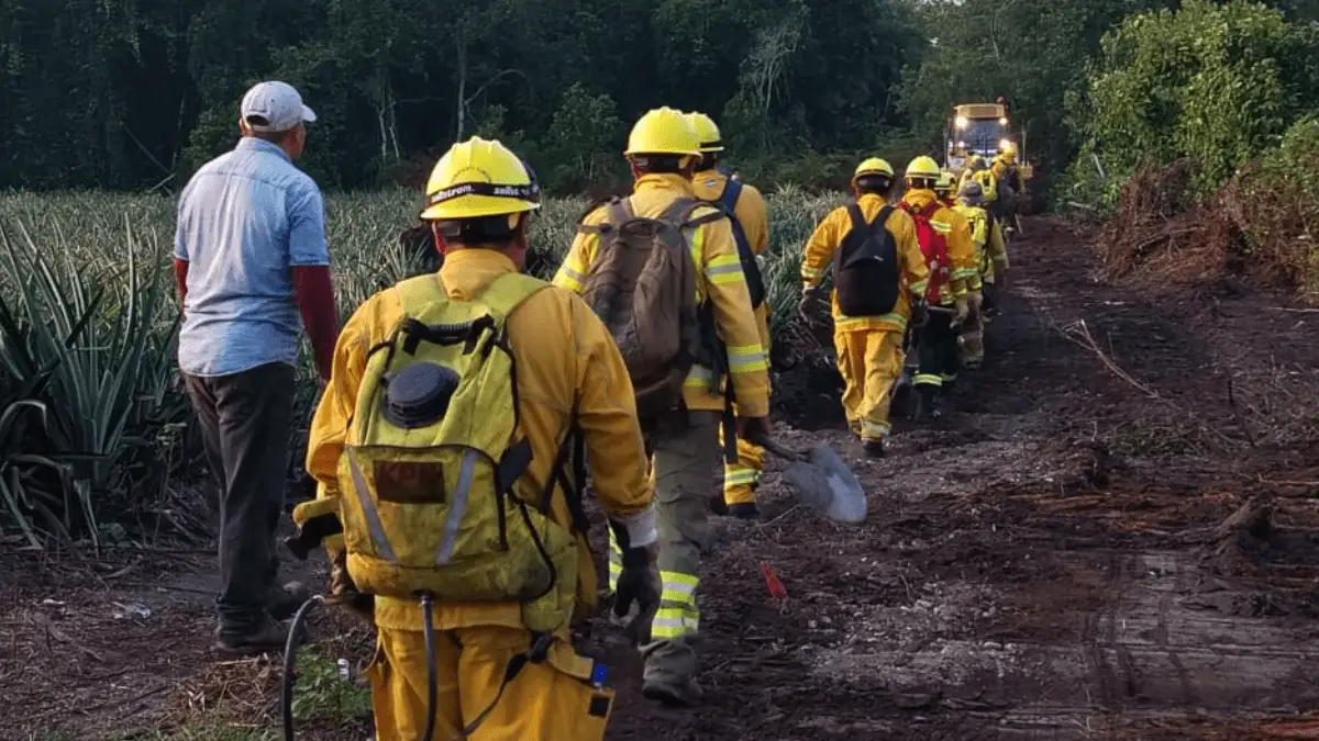 Guardaparques refuerzan el control de incendios forestales en comunidades nativas del Alto Mayo