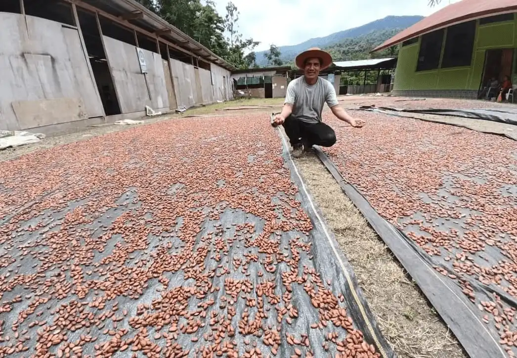 Sabilian: El cacao chuncho de Echarate trasciende fronteras