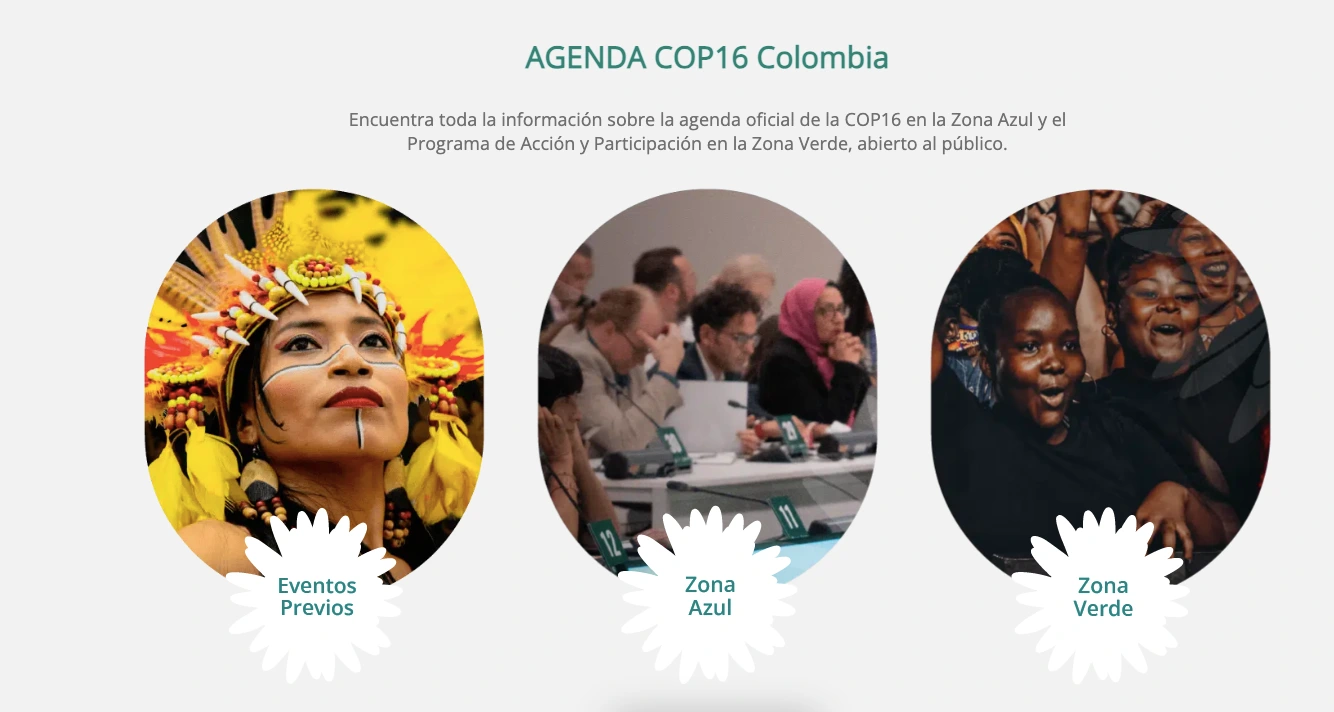 III-Mujeres-indigenas-exigen-participacion-plena-en-la-COP16-sobre-biodiversidad-I.webp