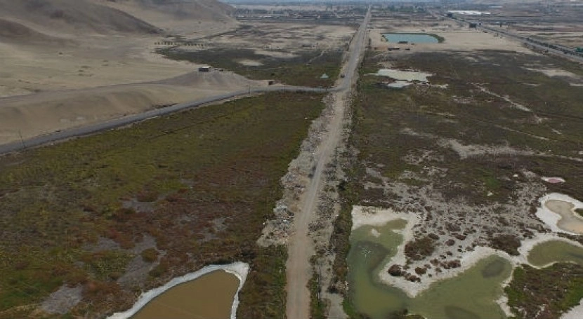 II-Humedales-bajo-la-lupa--La-nueva-legislacion-que-define-el-futuro-de-los-ecosistemas-peruanos-I.webp