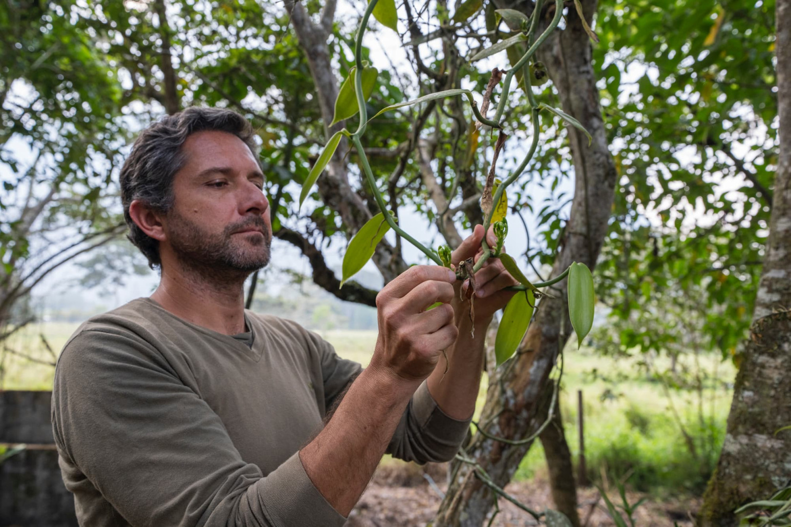III Congreso Peruano de Orquideología