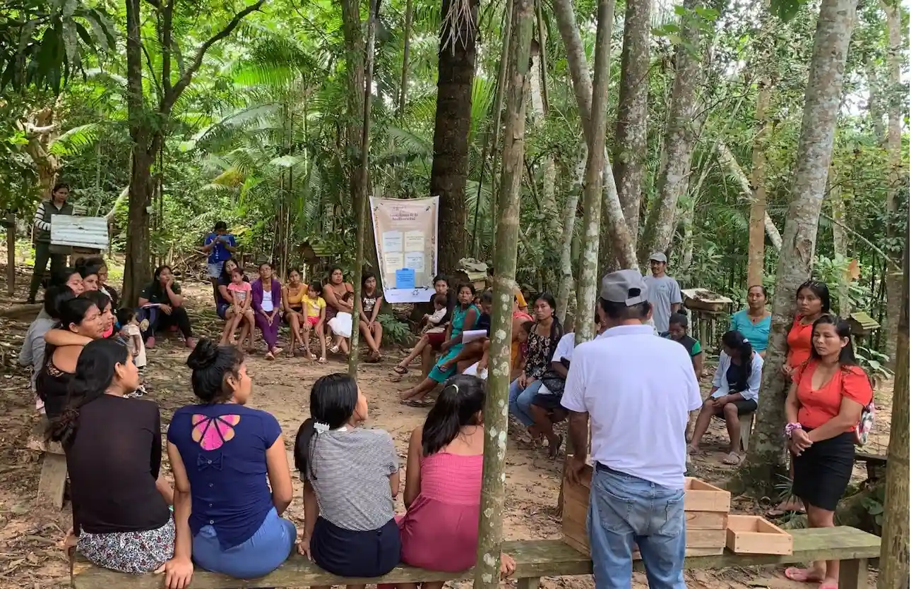 150 mujeres amazónicas se suman a la conservación de abejas sin aguijón