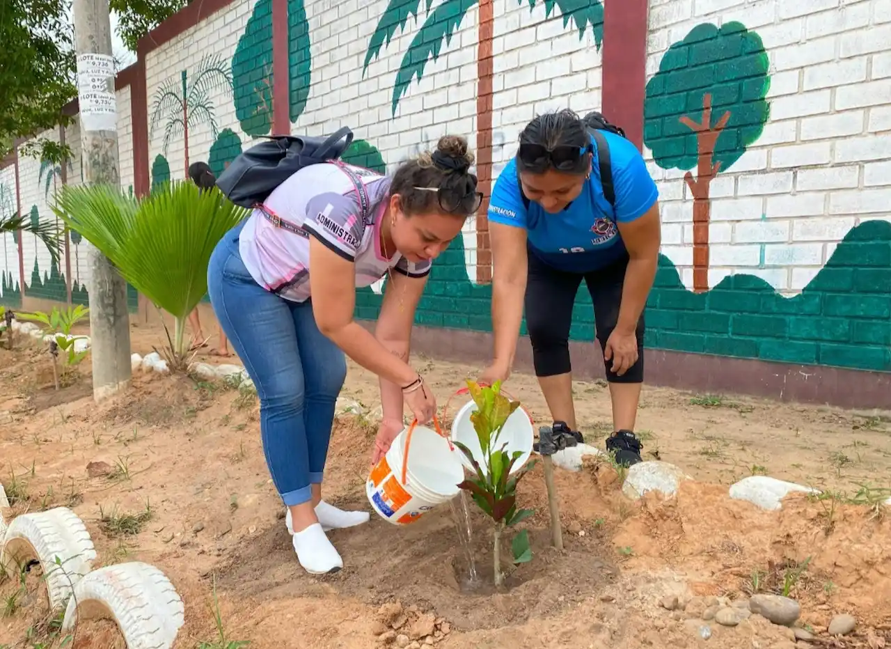 San Martín: Plantan 384 árboles nativos en Tarapoto, Morales y La Banda de Shilcayo
