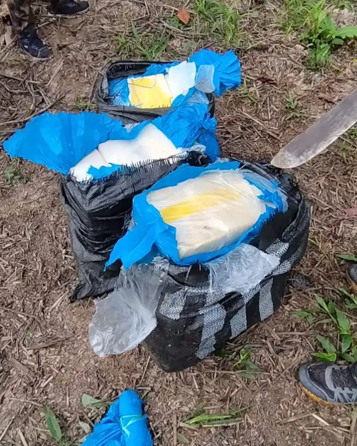 Efectivos decomisan 95 kg de cocaína en Tocache