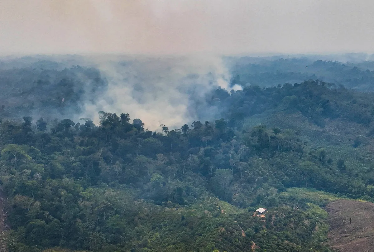 Ratifican condena a mujer por incendio forestal en 2022 en Manantay