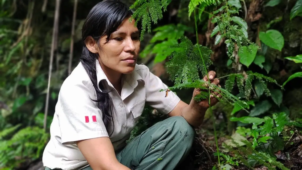 Parque Nacional Tingo María: Un modelo de conservación y desarrollo sostenible