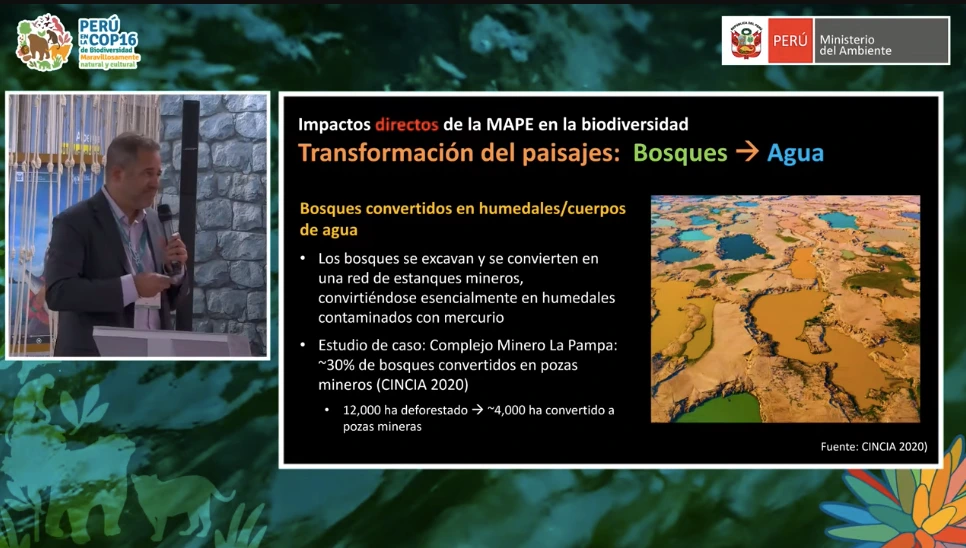 III-COP16--Expertos-llaman-a-una-accion-internacional-contra-la-mineria-ilegal-en-la-Amazonia.webp