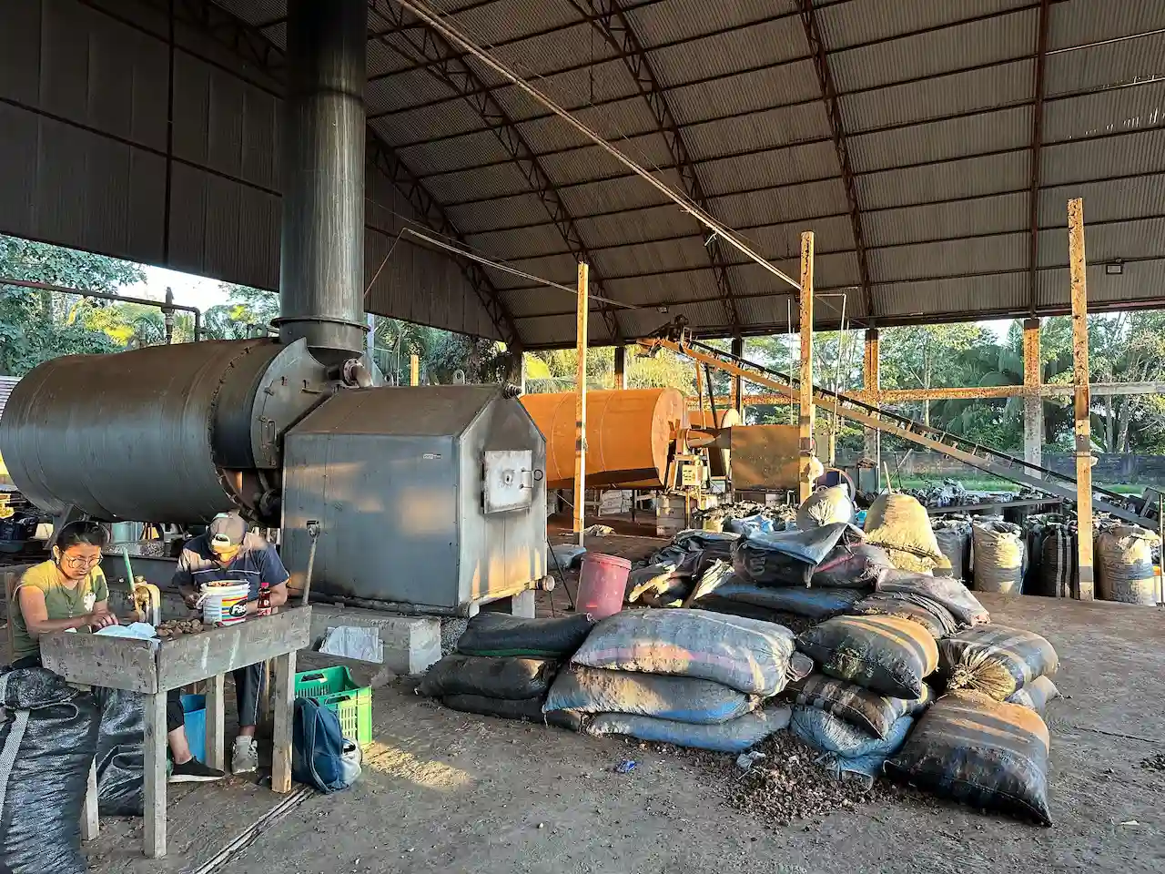 El cambio climático afecta la economía de los castañeros de Madre de Dios