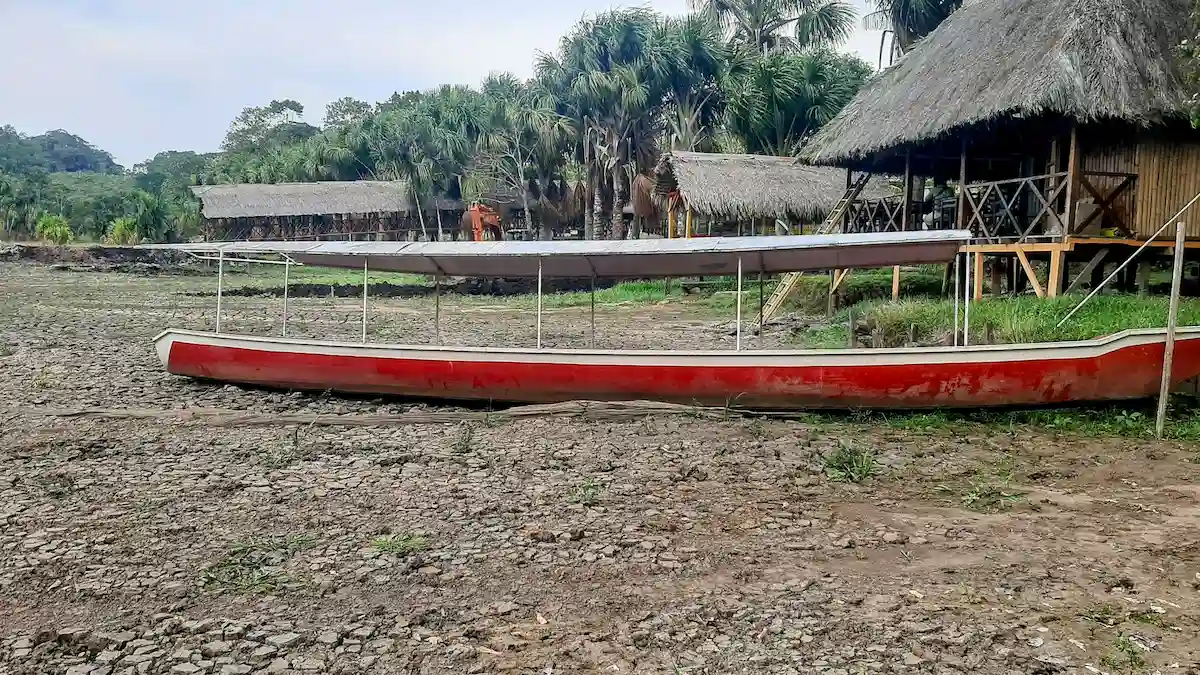 Cambio climático y deforestación afectan a laguna Los Milagros