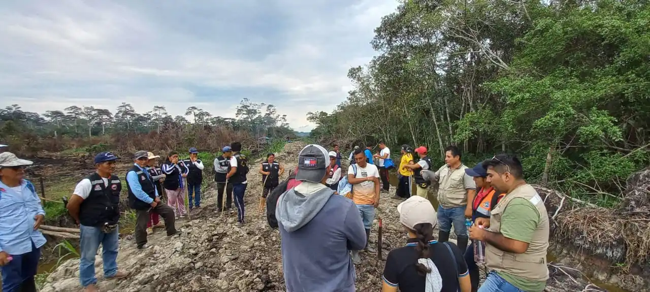 Talan ilegalmente 1.5 kilómetros de bosque en distrito de Posic