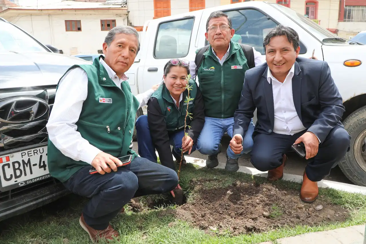 Junín inicia Semana Forestal Nacional con instalación de 50 000 plantones