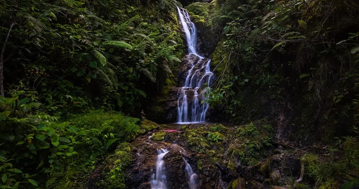 12 recomendaciones para visitar áreas protegidas durante el APEC