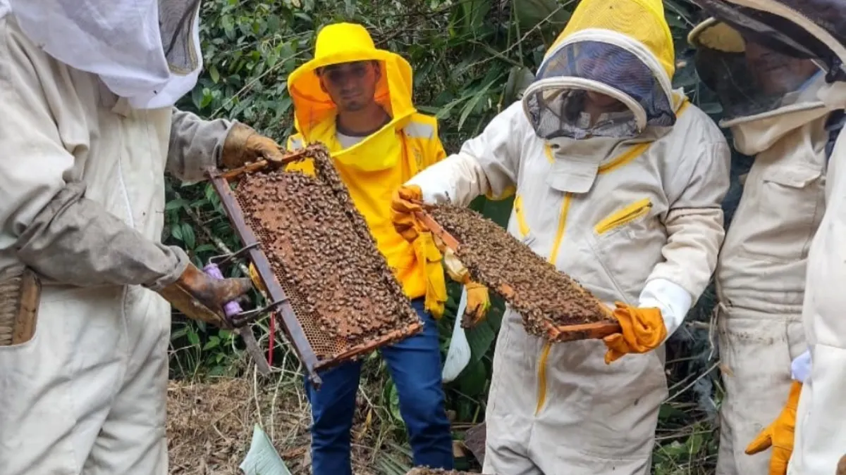 Apicultores del país intercambian prácticas sostenibles en San Martín